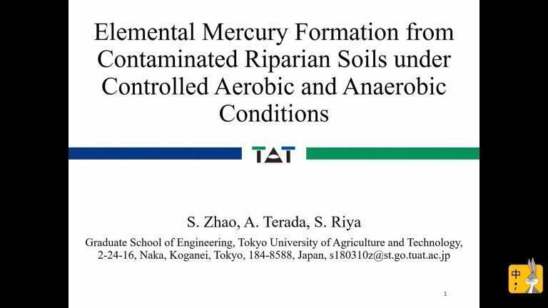 Effect of Redox Condition on Elemental Mercury Formation from Contaminated Riparian Soils and Responses of Relative Microorganisms